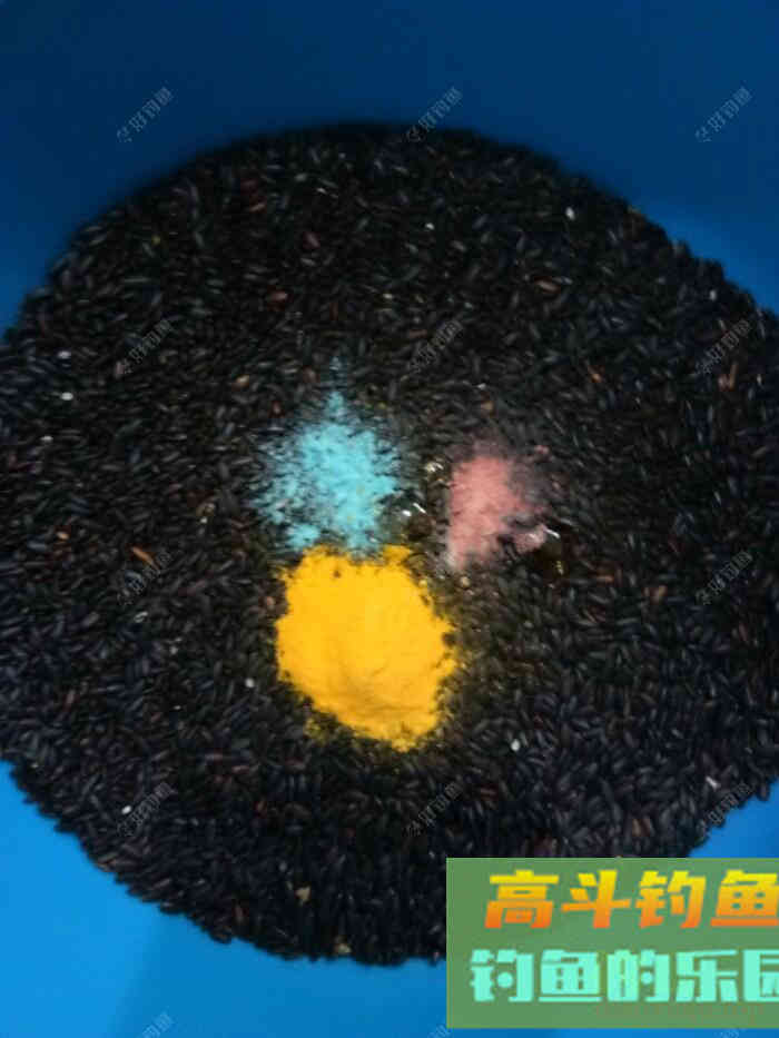 试做黑米窝料，等待检验诱鱼效果！