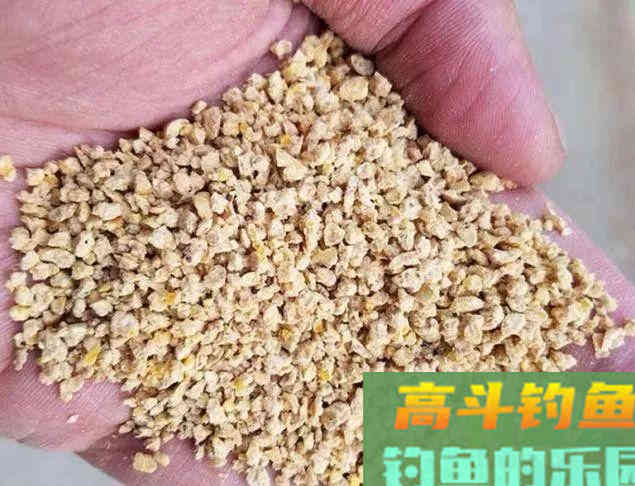 钓鲤鱼的饵料，就是我们身边的东西