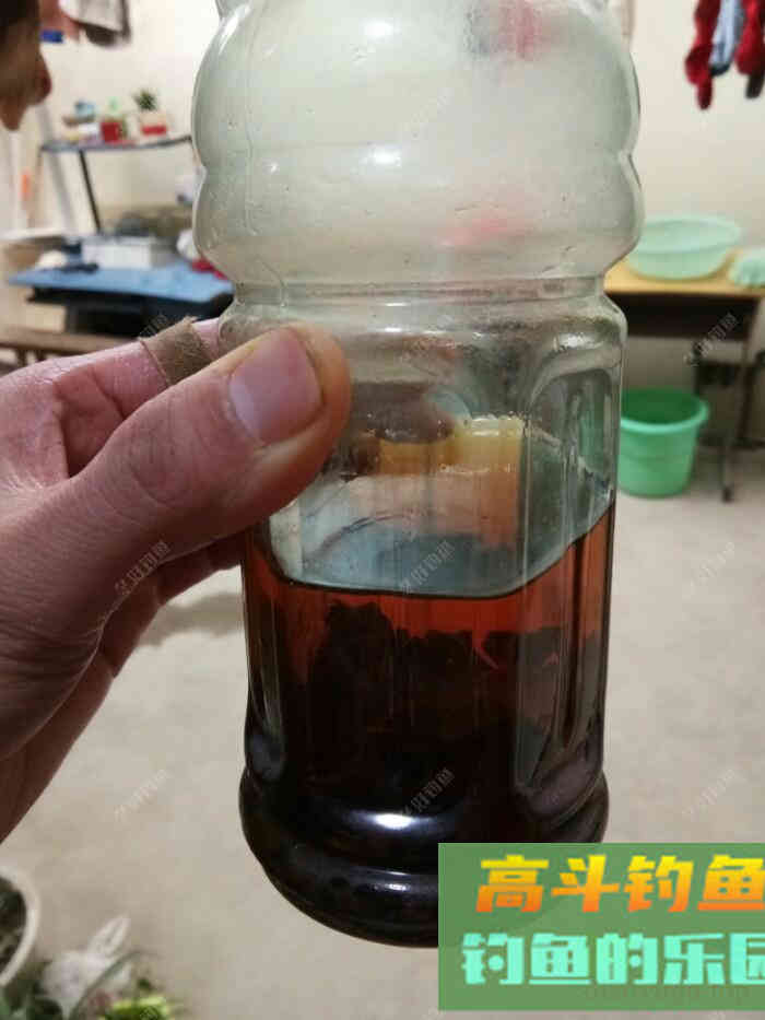 试做黑米窝料，等待检验诱鱼效果！