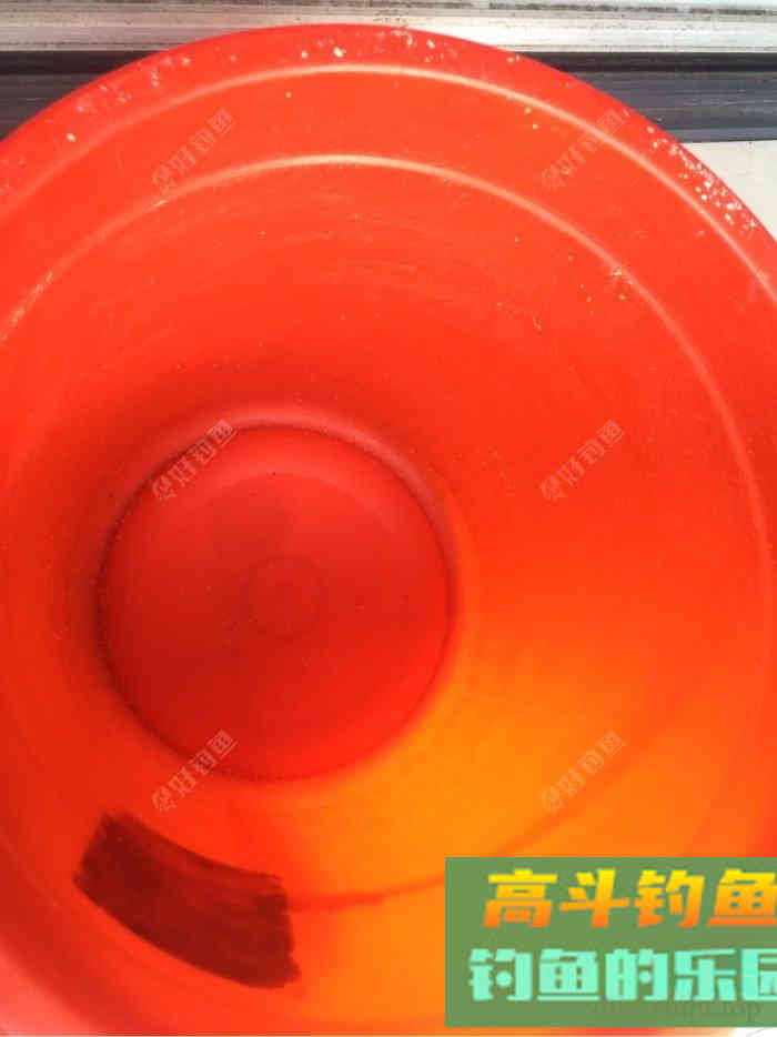 去年自制的打窝饵料，重新调配效果好