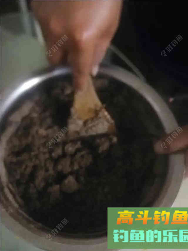 南国诱饵之王——糠坨