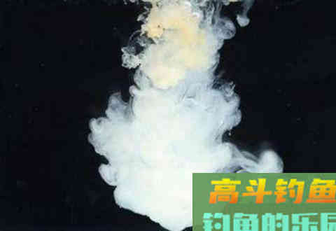 野钓饵配方，投入水中犹如烟雾弹，啥鱼都能诱