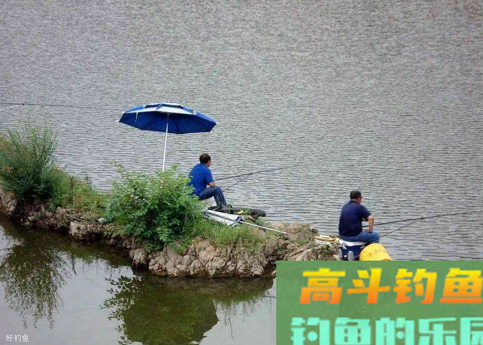 目前最难配的中药钓鱼药酒，但是效果超群
