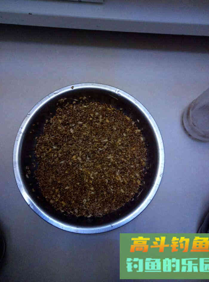 春天里:自制中药型小麦挂钩饵料