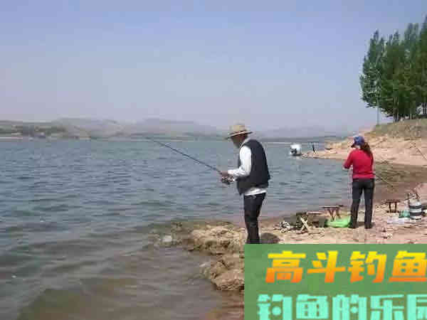 自制花生枯饵料，水库野钓大鲤