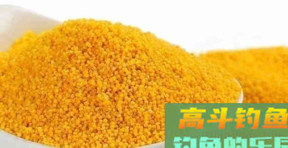 春季野钓打窝用什么窝料好？自制的简单又好