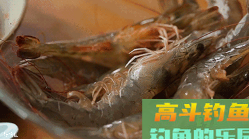 虾饵制作方法，冬钓跟蚯蚓红虫一样好用