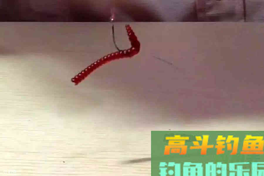 蚯蚓钓鱼使用小技巧，让钓鱼爱好者少走弯路