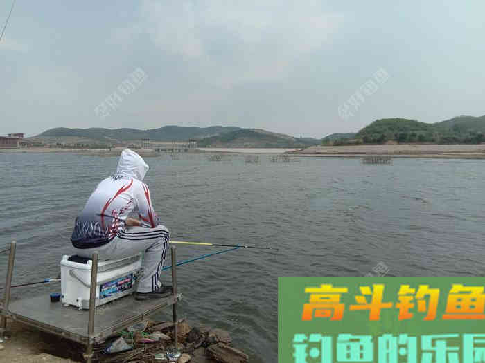 米饭发馊做钓饵，夏天钓鱼有奇效