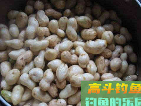 如何用自制花生饵钓草鱼？