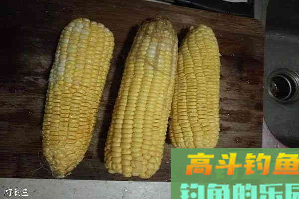 野钓草鱼必杀饵料配方，不闹小鱼，专钓大鱼