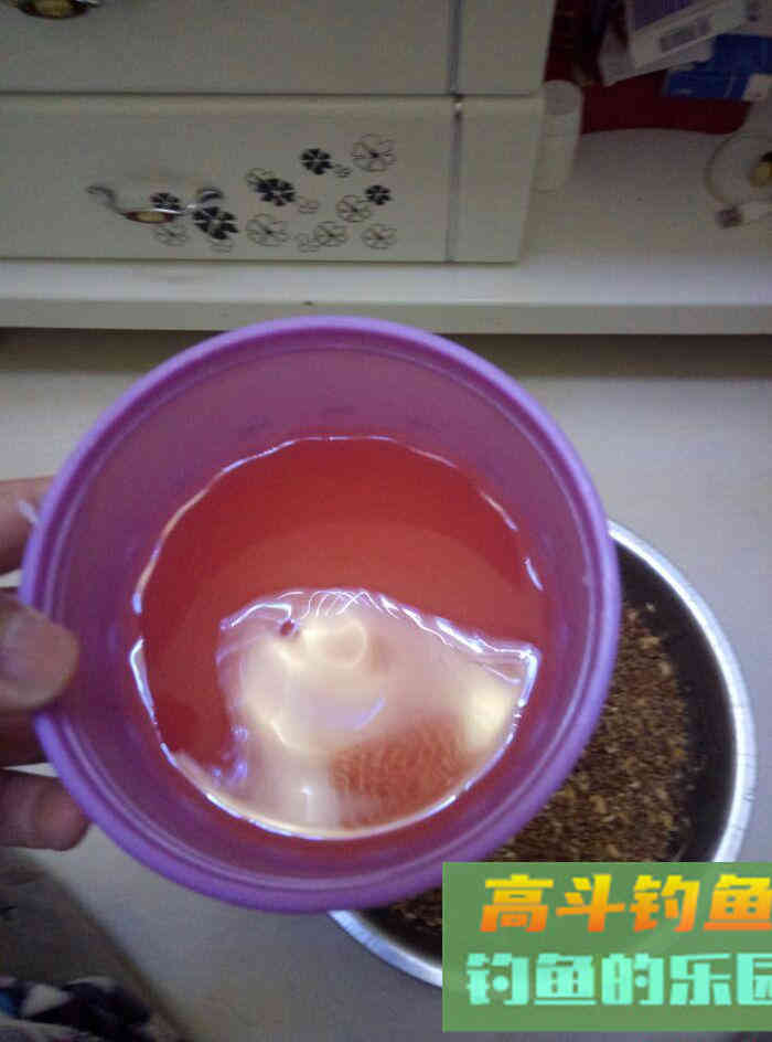 春天里:自制中药型小麦挂钩饵料