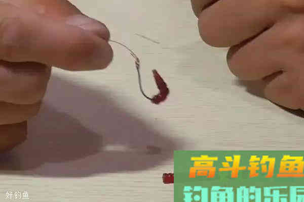 蚯蚓钓鱼使用小技巧，让钓鱼爱好者少走弯路