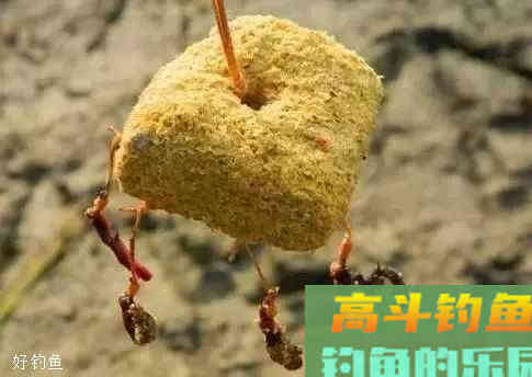 春季野钓打窝用什么窝料好？自制的简单又好