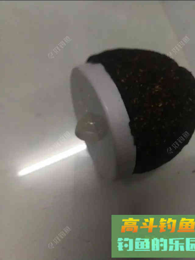 南国诱饵之王——糠坨