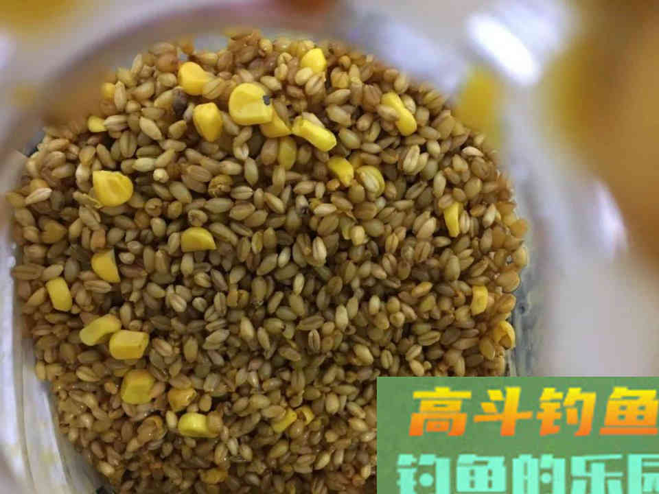 抛竿钓鱼三款自制配方送给你
