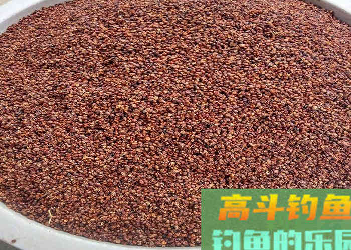 推出一款自用多年的窝料配方，专攻鲫鲤草鱼