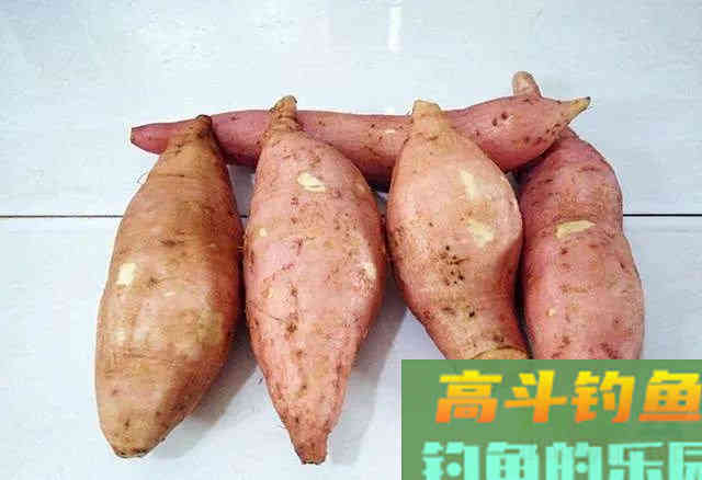 成本不到20块的鲤鱼窝料配方，聚鱼快留鱼久