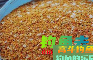 黑坑钓青鱼用什么饵料、小药好呢？