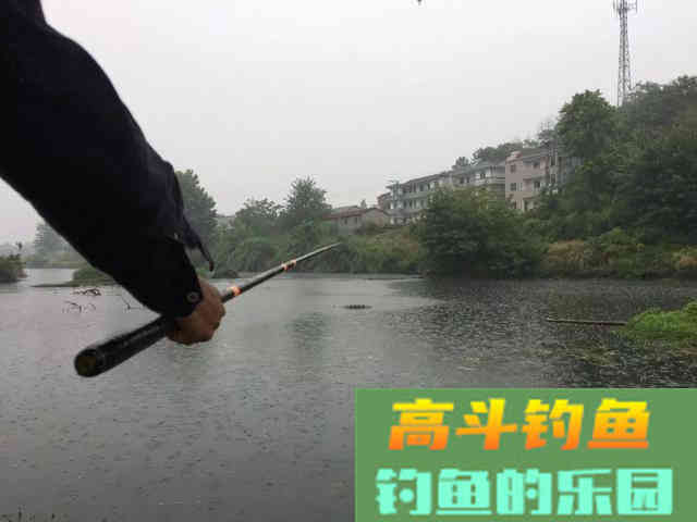 野钓用饵：蚯蚓和商品饵哪个效果更好？其实各有千秋