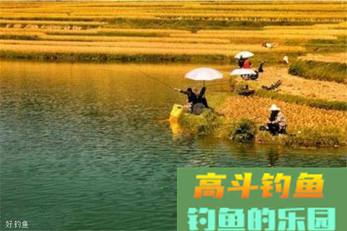 饵料搭配的方法技巧，秋季同样适用