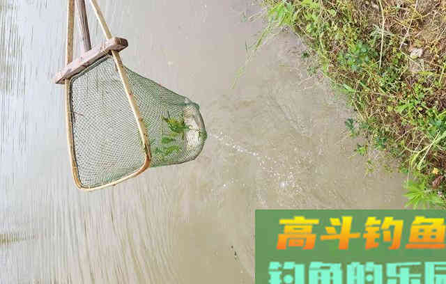分享打窝心得，想学的老铁看过来吧
