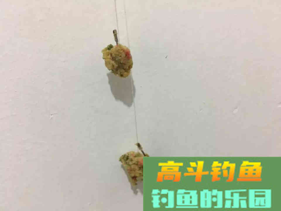 螺鲤如何开拉饵？方法和比例，小鸡饲料也能这么用