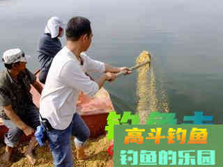 钓鱼打窝要注意些什么事项? 钓鱼打窝要注意些什么事项?