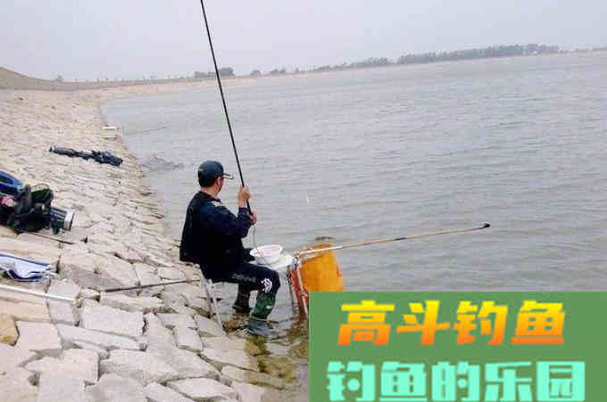 诱钓鲫鱼最简单的窝料制作及打窝方法