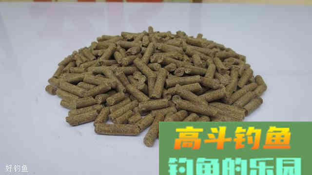 钓大鱼就用颗粒饵，颗粒饵的三种升级版用法