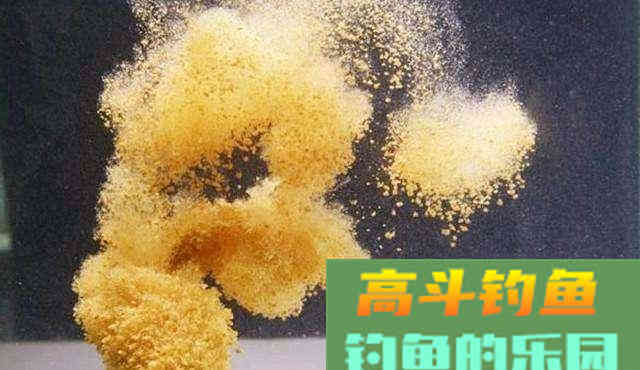 如何根据鱼情鱼口试试改变饵料雾化状态