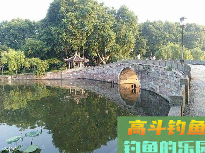 打窝的作用在于实施诱与钓的精髓