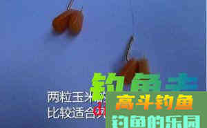 青苞玉米库钓大鱼，不仅效果好还能防杂鱼