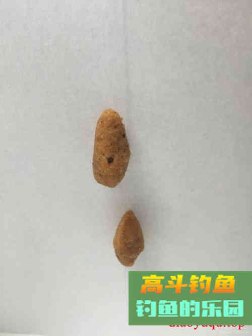 钓鱼上饵的三个好方法