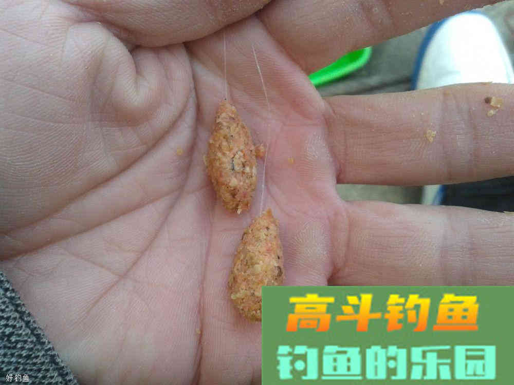 想要上大鱼，搓饵技巧一定要熟练