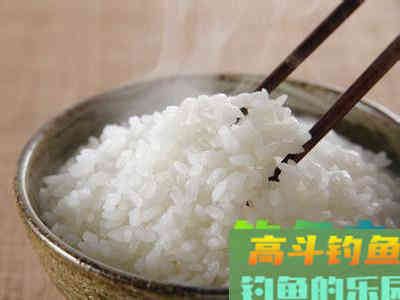 浅谈米饭饵的制作以及使用技巧