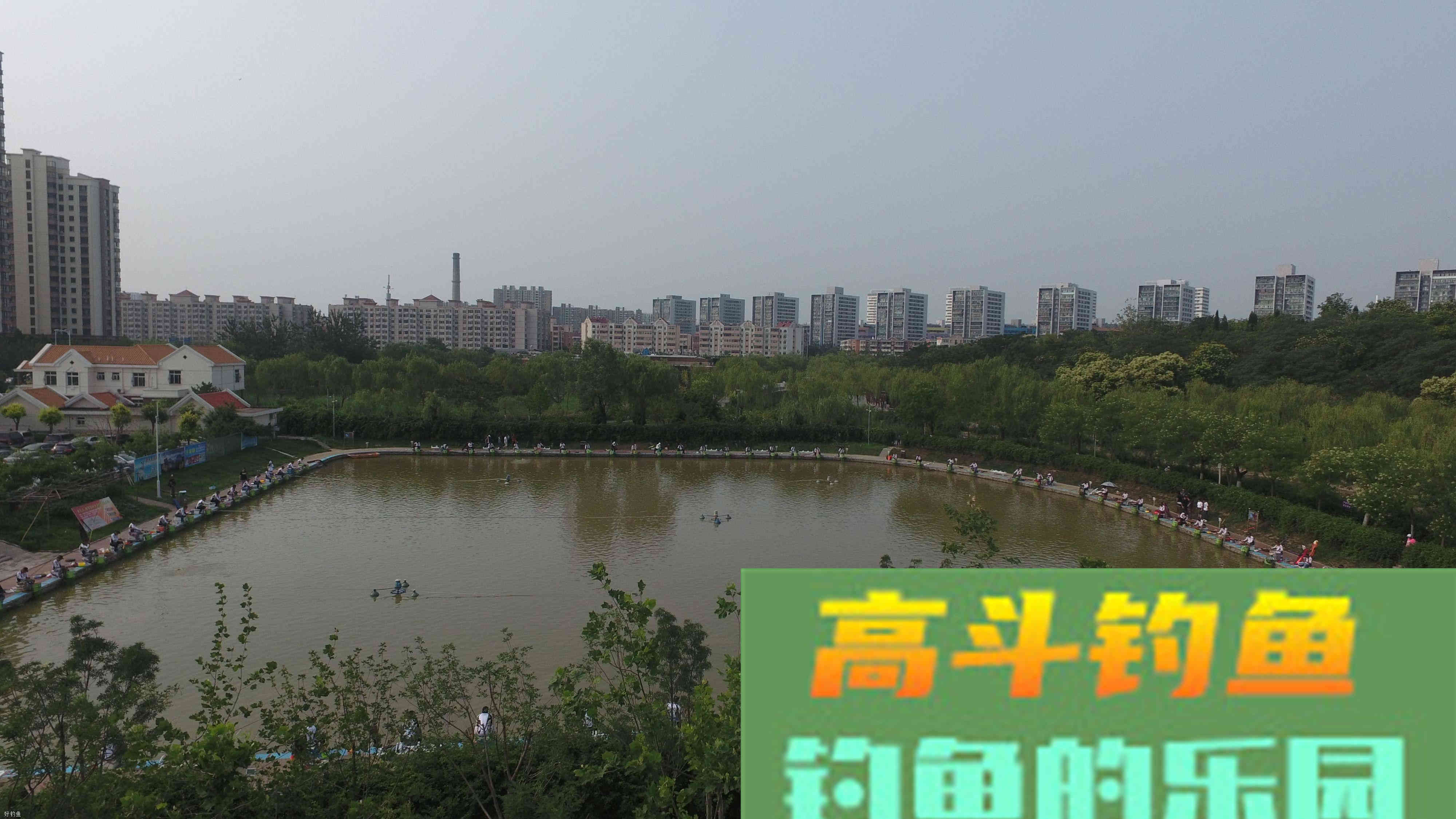 黄面面与麻团钓法混合使用，黑坑垂钓会有惊人效果！