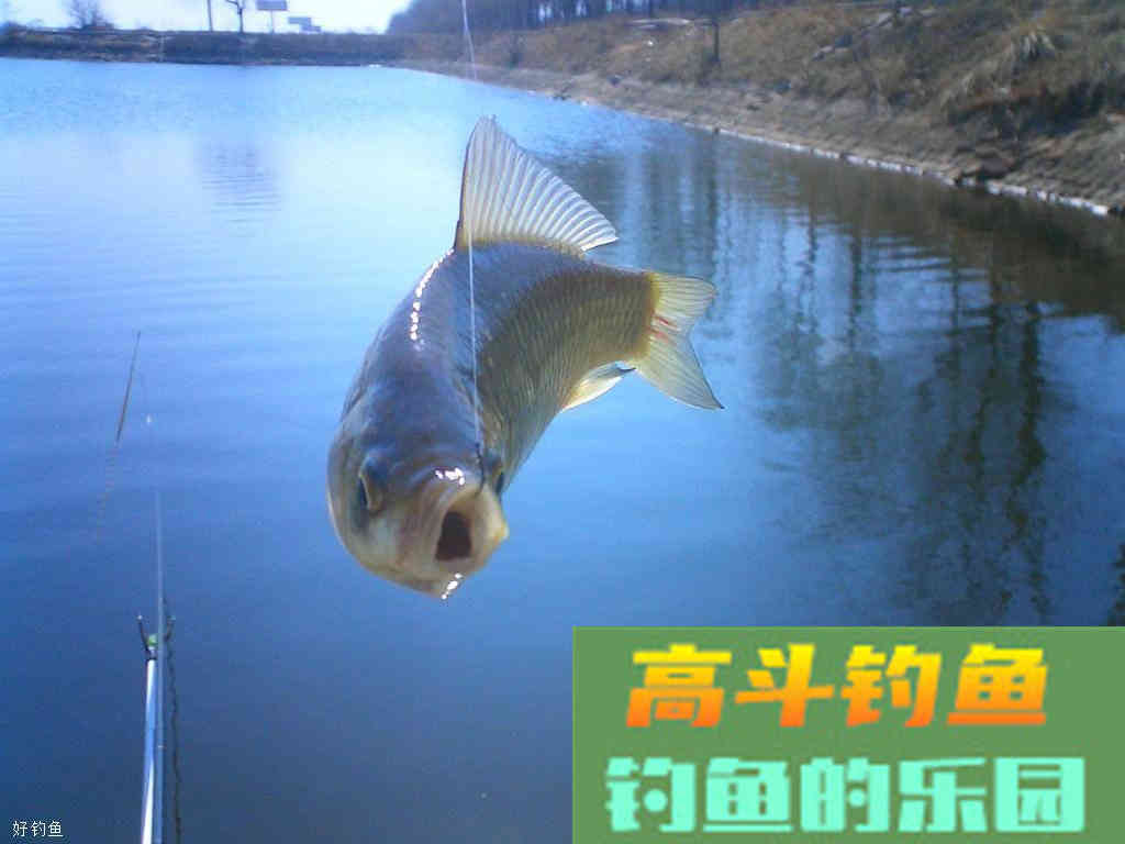 饵料雾化存在着哪些常见的误区？