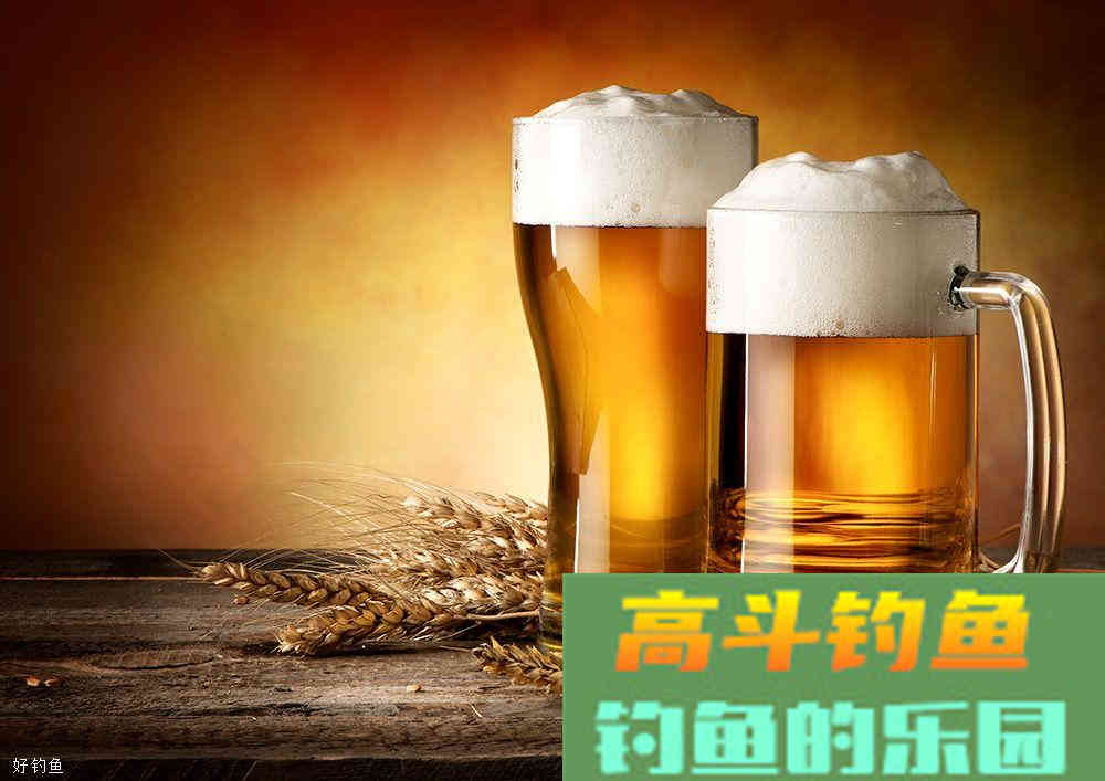 夏季用啤酒开饵，会有意想不到的效果
