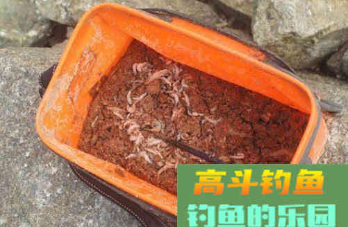 钓鱼这么打窝，鱼就乖乖来了舍不得走