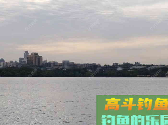 聊下饵料与雾化问题，来自高手的总结