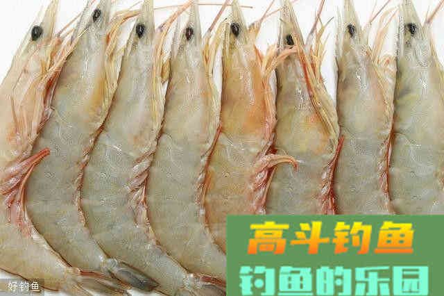饵料技巧顺口溜，简单又易懂