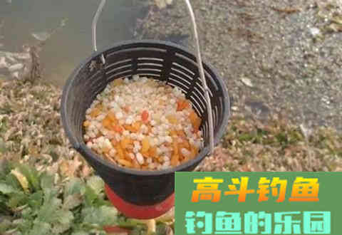 打窝补窝需要注意的细节，做的越到位发窝越快