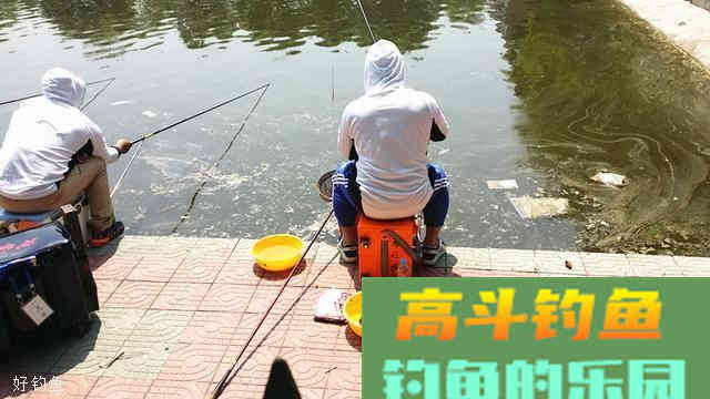 钓大鱼就用颗粒饵，颗粒饵的三种升级版用法