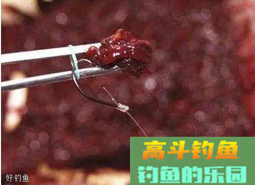 冬季钓鱼怎么拉饵？老钓友拉饵思路分析