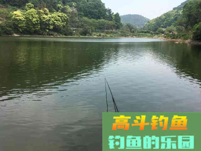 玉米饵使用的几个误区及玉米饵的正确使用方法