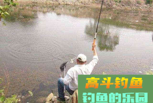夏季钓鱼用饵的几个理论知识