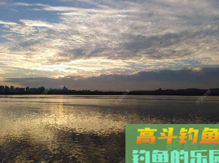 分享一款钓鲫鱼专用、纯谷物本味饵配方