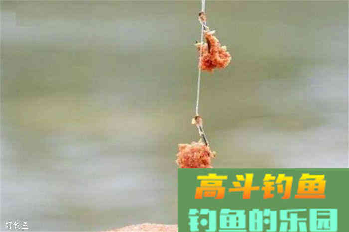 拉饵还是搓饵？论这两种方法的利弊