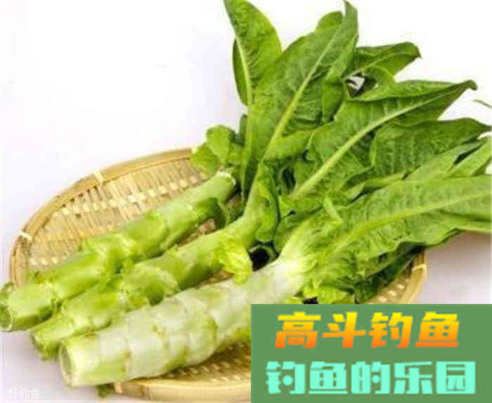 蔬菜，瓜果都可以用来做鱼饵，你造吗？